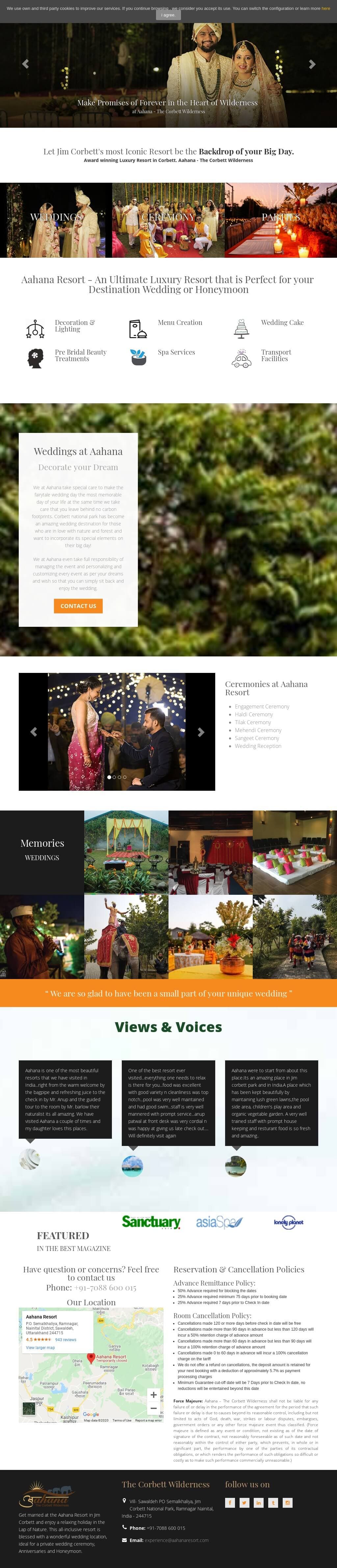 Destination Forest Celebration