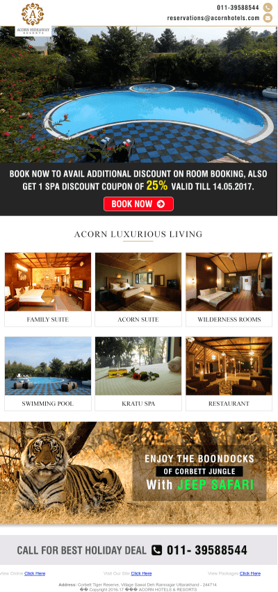 Acorn Summer Escape