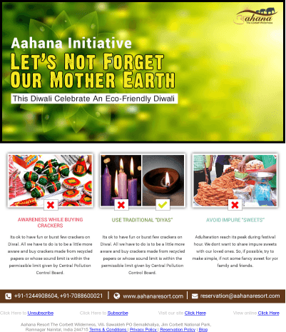 Festive Season Campaign