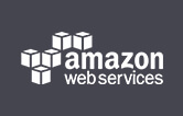 Amazon web services partner india