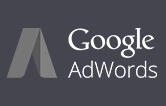 Google Advertising Partner