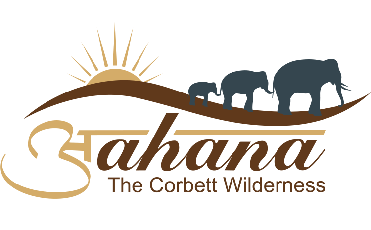 Aahana The Corbett Wilderness