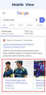 how-rich-snippets-looks-in-mobile-view