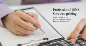 Professional SEO Services Pricing