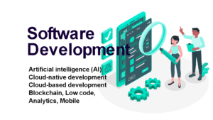 software development company in delhi