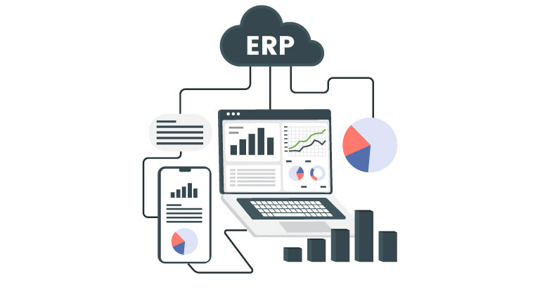 ERP Development